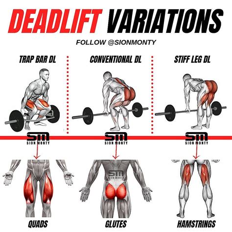 like unlike as exercises|exercises like deadlift.